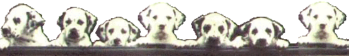 welpend.gif (25506 Byte)