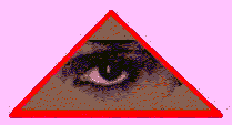 auge.gif (27436 Byte)