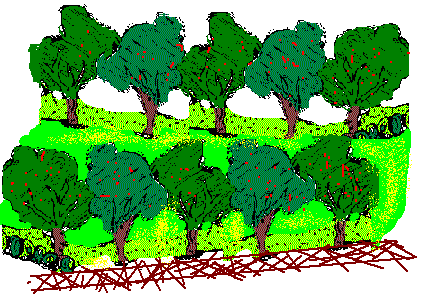 obstgarten.gif (17084 Byte)