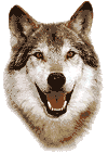 wolf2.gif (4016 Byte)